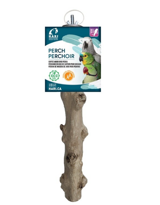 HARI Java Coffee Wood Perch Large 81547